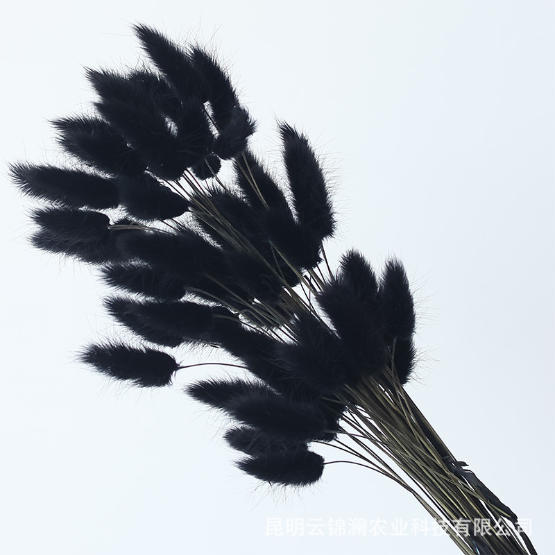 Un bouquet de 60 noirs / Bouquet