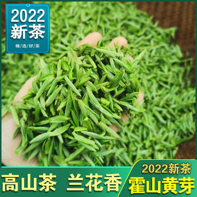 黃茶批發2022新茶安徽茶葉霍山黃芽雨前安徽黃芽125克250克散裝廠