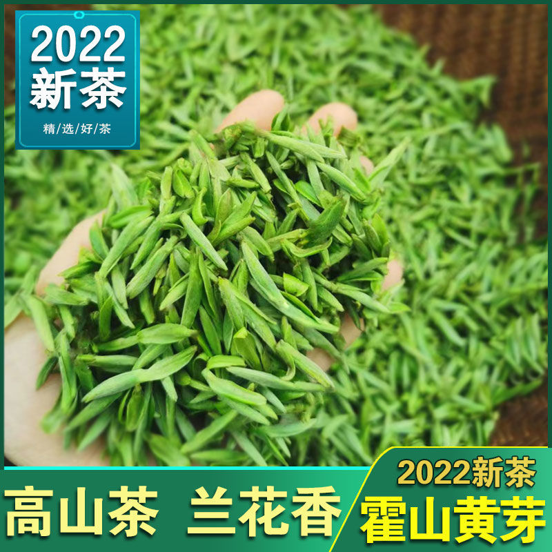 黃茶批發2022新茶安徽茶葉霍山黃芽雨前安徽黃芽125克250克散裝廠