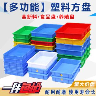 ���Ϸ��P�z�����D�P���I������������������D���������Bֳ�P��