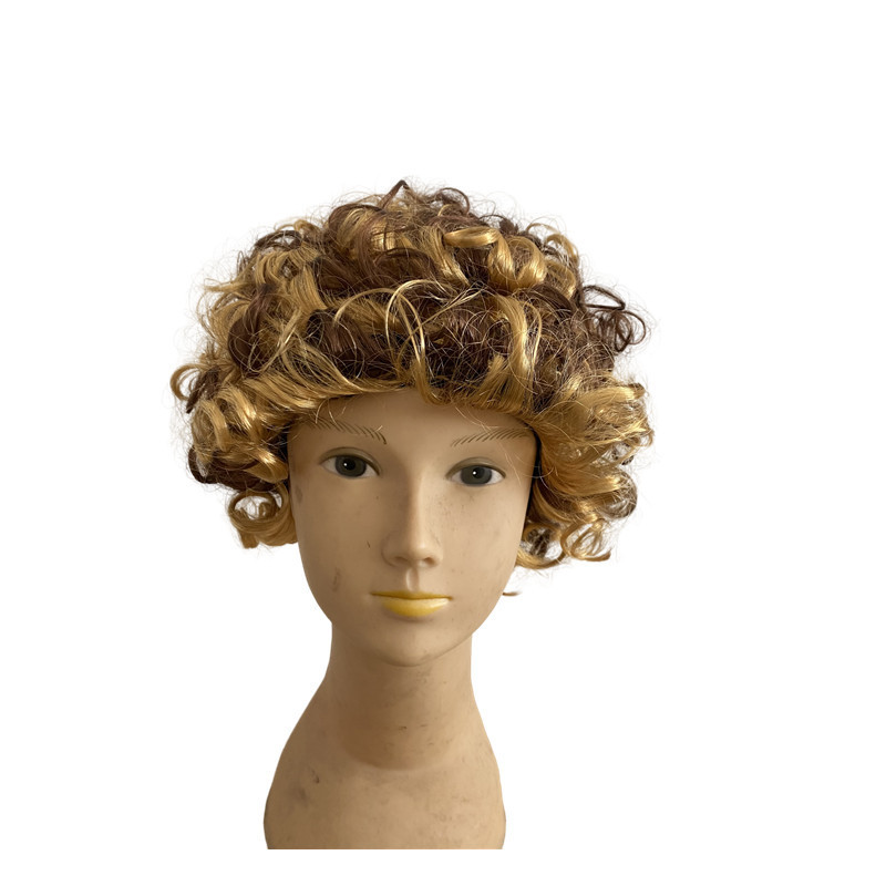 Amazon Halloween Disco 80s Punk Hippie Brown Curly Hair Wig European American Men's Rock Hair