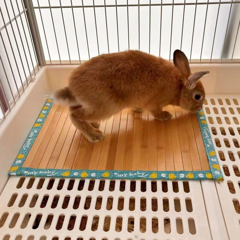 a8e14e54-0816-48ee-8f45-628412becb96.jpe