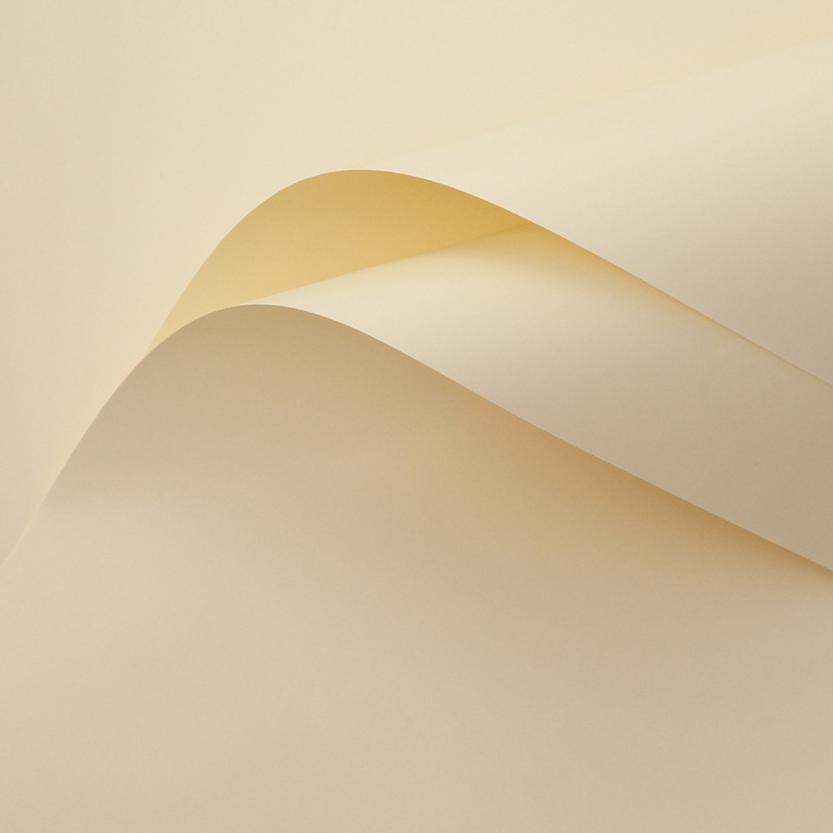 7 colores cordier sólido papel 8 hilos engrosado impermeable sólido papel floral floral florista embalaje de flores DIY embalaje