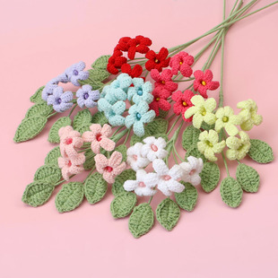 ��Ʒ�羳�ֹ��h��ë�������㻨������ٻ�5�^�����㻨֦��ƿ�廨