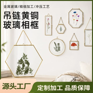 金色创意正六边形相框玻璃古铜色羽毛植物干花画夹北欧画框黄金属