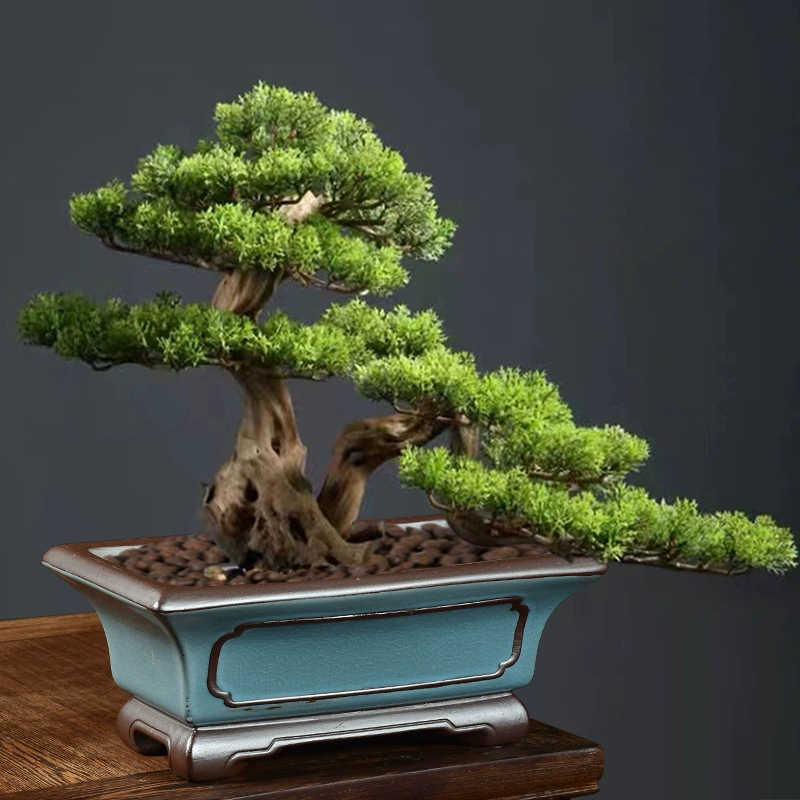 菩陶堂 Micro-landscape DIY potted landscaping ceramic Ge Kiln flower pot elm tree red sandalwood banyan tree large simple pot