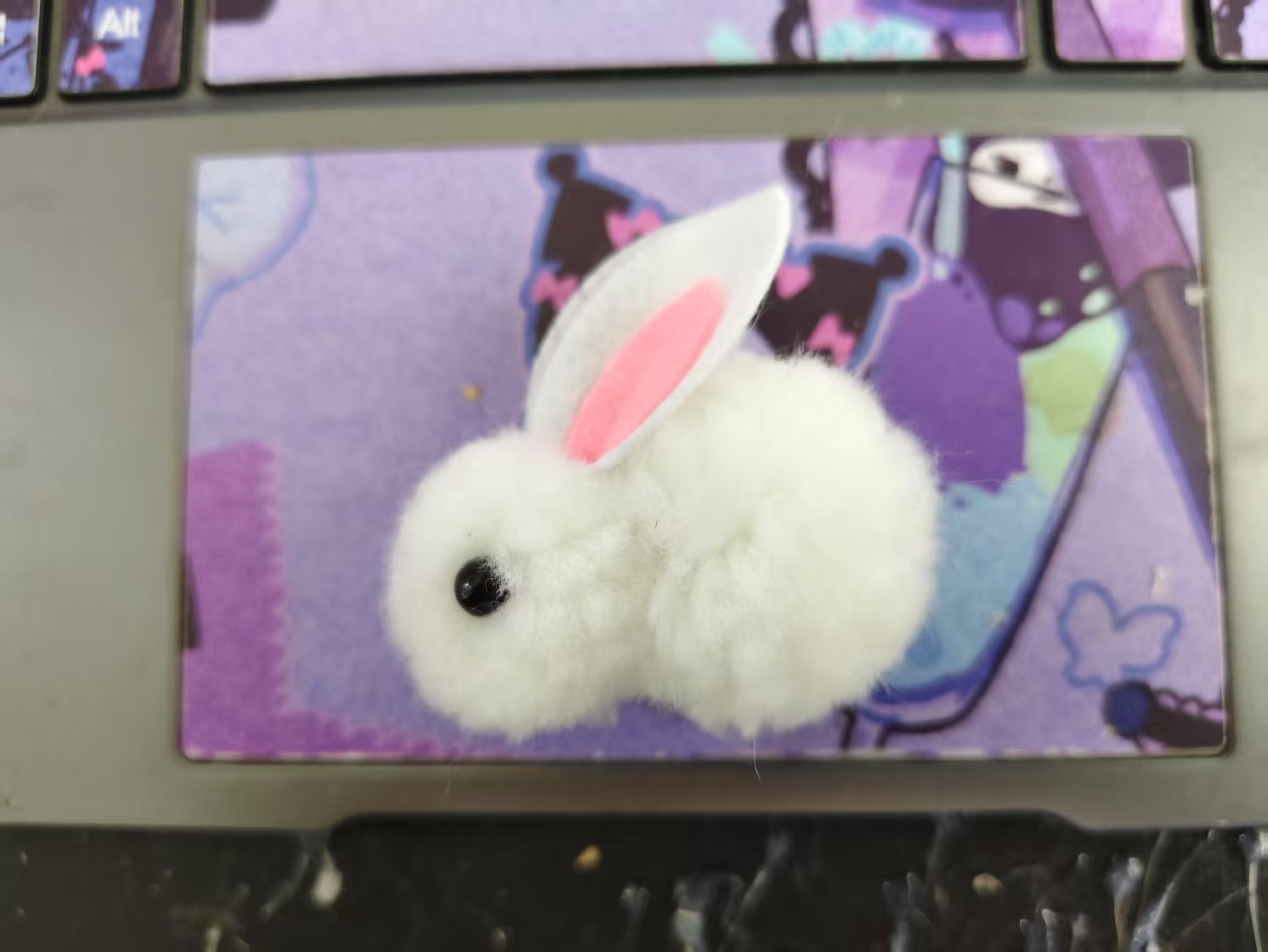 흰토끼 얇은(5.5cm)