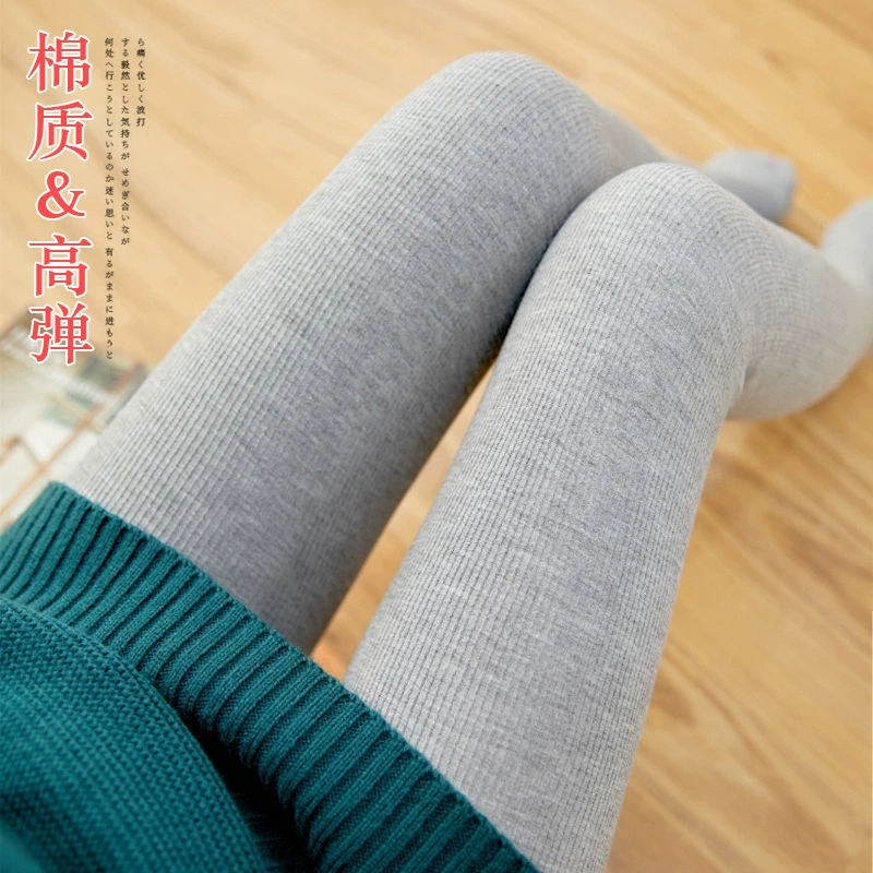 Термогольфины (женщины) с высокой талией,rib-knit трикотаж, утеплитель до 400 г, бархат с рисунком дракона коготь, черно-серые оттенки