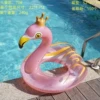 [70#皇冠火烈鸟]