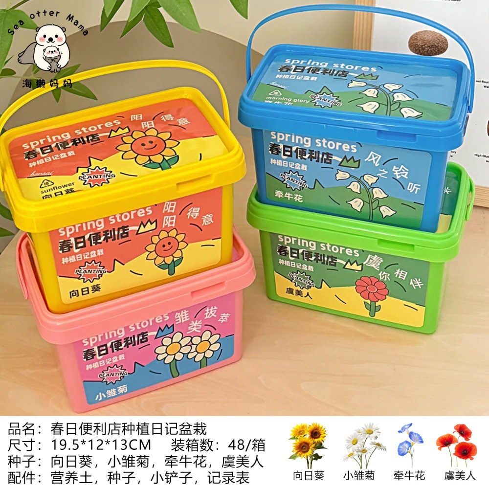Nuevo creativo DIY niños plantas en maceta caja ciega decoración de escritorio interesante regalo de premios estudiantes pequeñas mujeres en maceta image 13