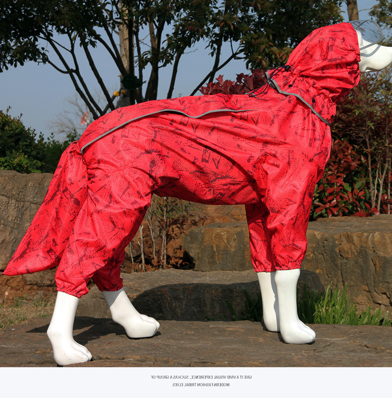 34d95a64-edef-4c72-a1e3-02e54e94a4f8.jpe