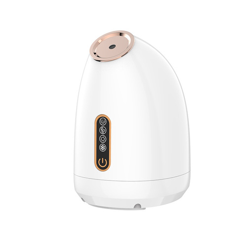 Home Small Cold and Hot Mist Humidifier Face Cleansing Device, Open Pores Hydrating Beauty Instrument