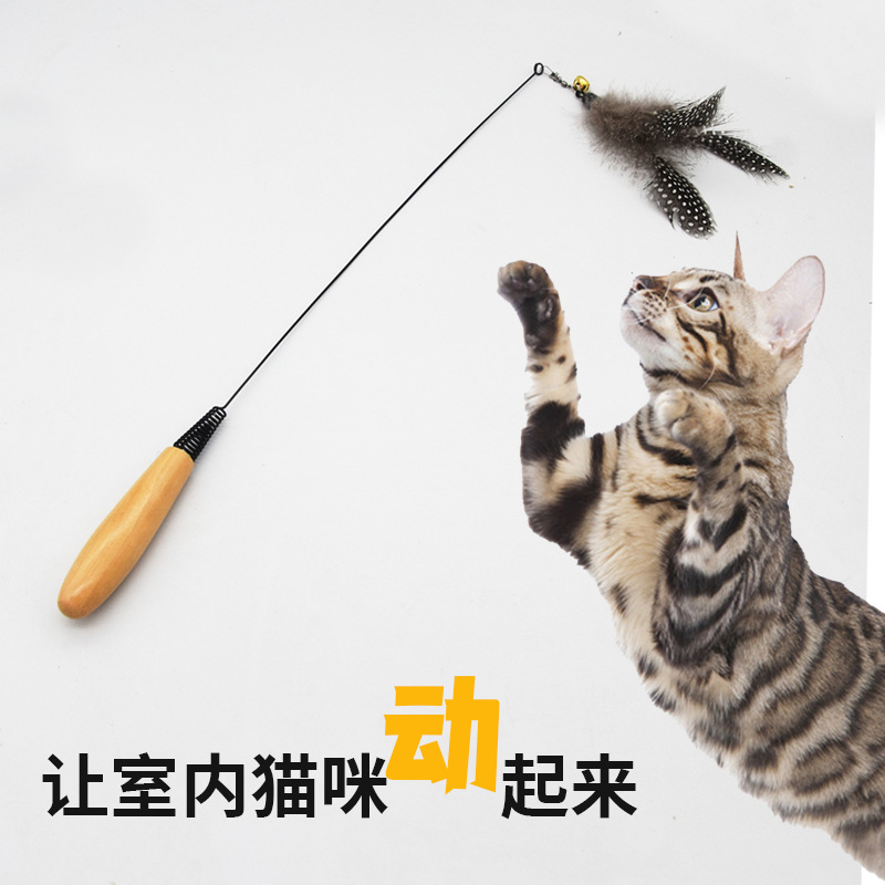 562afd1560d42756a9b5c8a7b550ba