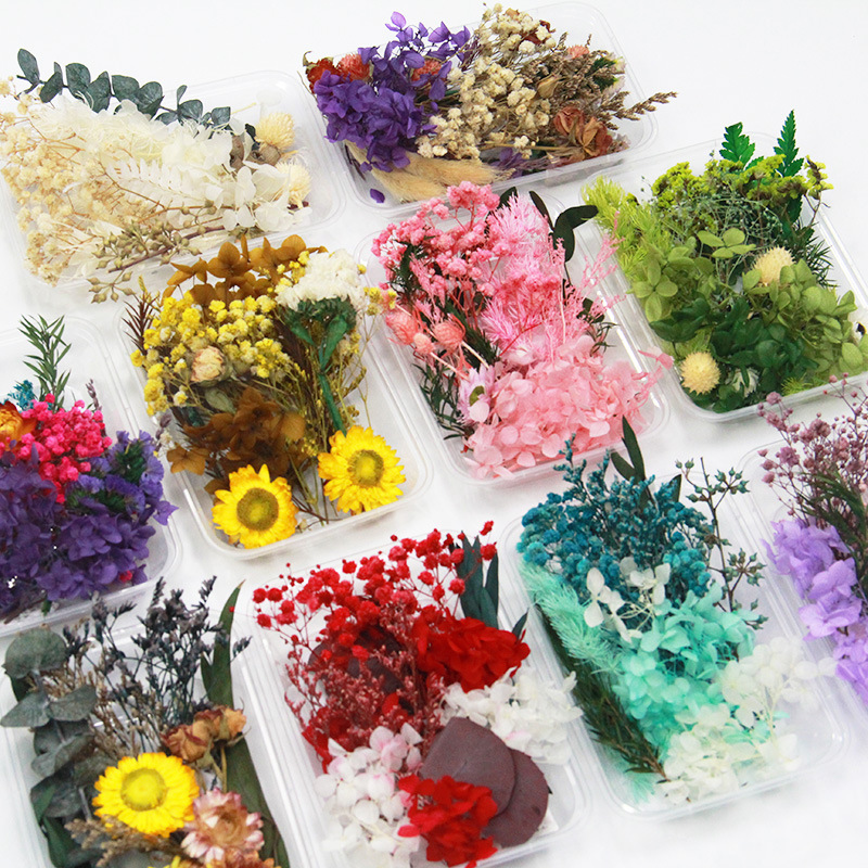 Mixed dry flower box DIY handmade candle plaster fan real flower air-dried ball everlasting flower multi-color material package 