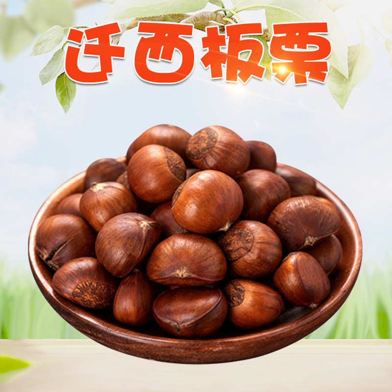 【鲜果】河北迁西板栗 代发5斤当季粉面香甜毛栗子生栗子新鲜蔬菜