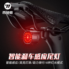 西骑者智能感应刹车尾灯公路山地自行车夜间骑行灯高亮防水警示灯