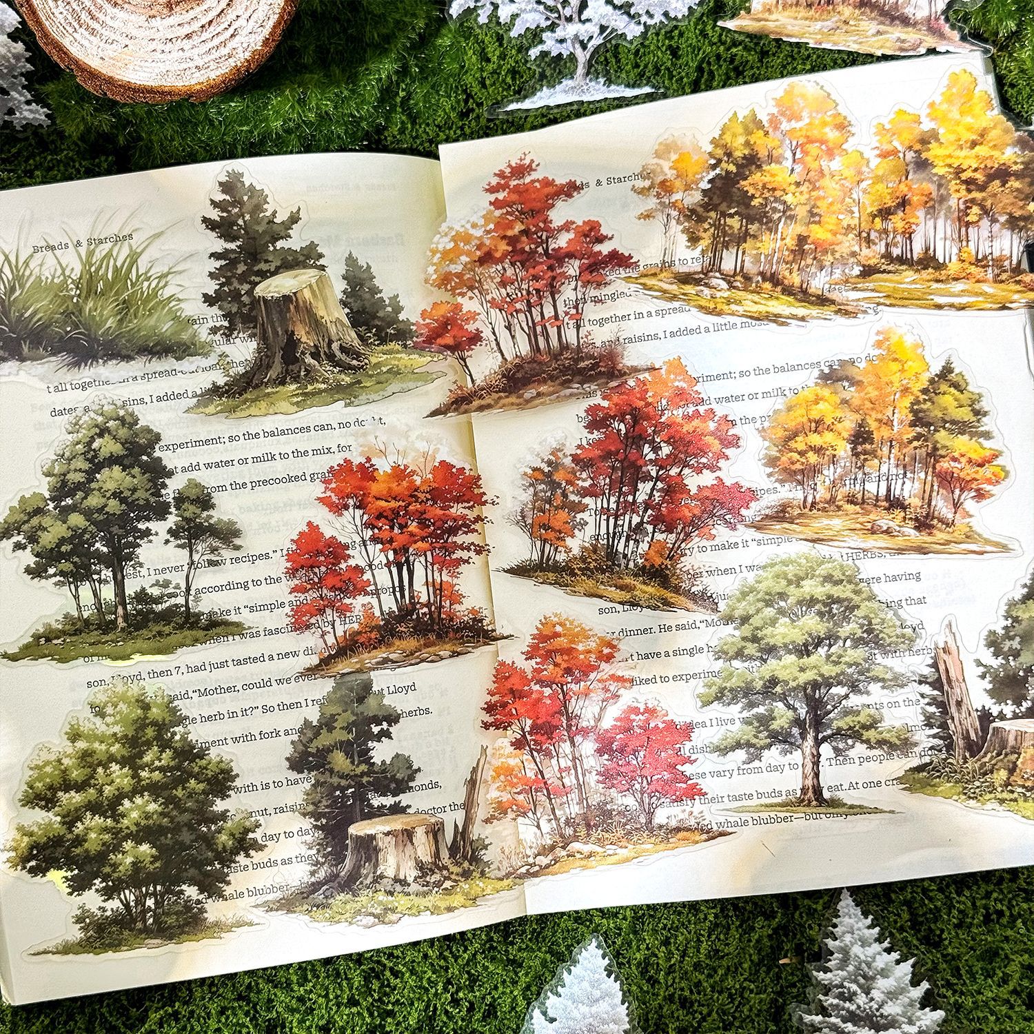 Green Field Secret Realm transparente a prueba de agua Pet Pack Pack Pestaña de diario de bricolaje Etiqueta engomada de decoración de cuentas de mano de bosque transfronterizo