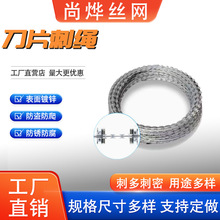 刀片刺网热镀锌刀片刺绳蛇腹型围墙防爬防锈刺绳养殖双股铁蒺藜