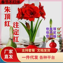 һ�����l��Ϟ��피t�M���ذ�N��o�������������ܑ���ֲ���}�Q��