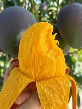 ���Ԯa���N�������Ĵ���֦���P��â����â���ЋDˮ�����r���䮔��