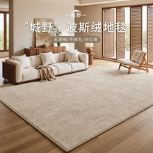 地毯客厅原木侘寂风高级感防水防污免洗卧室床边毯加厚家用地毯