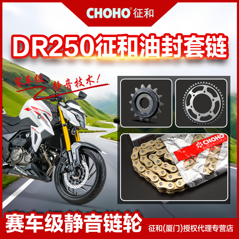 Adecuado para la motocicleta Haojue DR250 disco de cadena silencioso engranaje piñón diente signo y accesorios de cadena de sello de aceite genuino