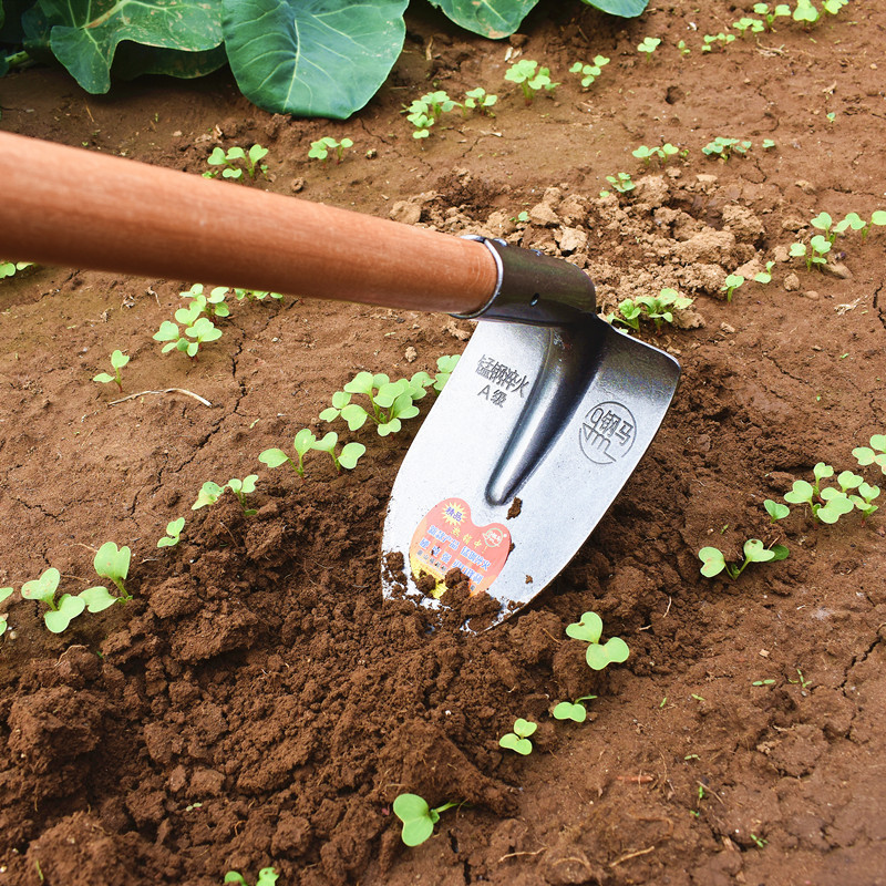 开荒松土小号尖锄起垄挖沟开三角锄头园艺铲搂耙农用鹤嘴单双镐头