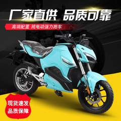 工場輸出ビッグパイソン V15 E5 ビッグデビル電動バイクスポーツカー二輪横乗り高速電動バイク