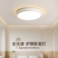 Full spectrum eye protection comfortable and warm bedroom lamp ceiling lamp simple modern minimalist atmospheric study master bedroom room lamp 