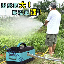 电式菜园浇水神器浇水机电动抽水机农用灌溉深井自吸泵12v水批发