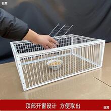 ��������ץ���ӻ\ȫ�Ԅ�ֻ�M��������Ұ�����䷽����������B�\