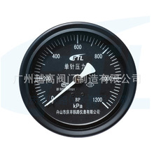 FTL��ɽ�c�S�F·�x�����޹�˾ YCS100-IV��ᘉ�����BP����1200KPa