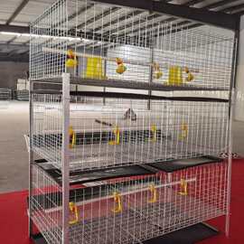 三层加粗简易肉鸡笼抗压防 养殖笼镀锌组装便捷家用养殖场肉鸡笼