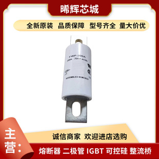 Sufficient Customized Fwp-200A Fwp-125A Low-Voltage Fast Fuse Digital Components