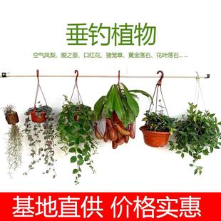 ���ֲ���֮���i�\���ʯ���ڼt����Ғ�ʽ�����҃���ͥԺ�̨