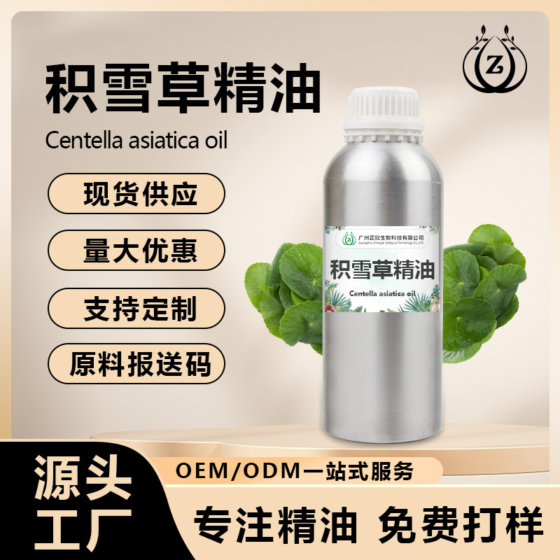 厂家供应积雪草精油雷公根油积雪草油单方植物香薰精油日化精油