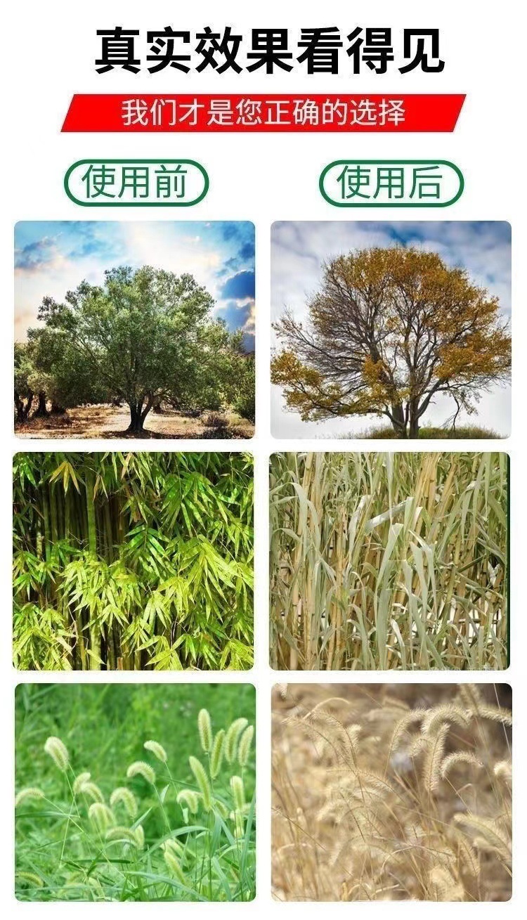 微信图片_20230314132229