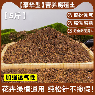 General Peat Pure Orchid Soil Gentleman Pine Needle Nutrient Soil Leaf and Fleshy Decayed Humus Soil Natural Flower Raising