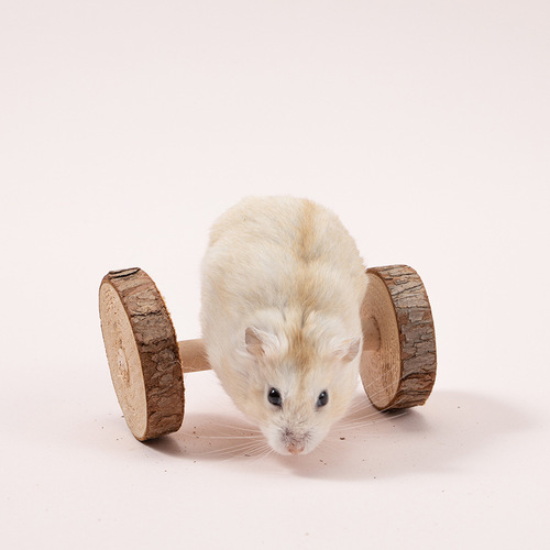 eBay Amazon AliExpress hamster parrot bird cat dog wooden small toys teeth grinding
