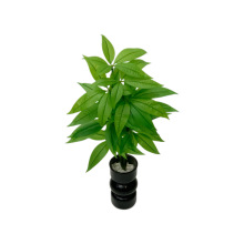 ����ֲ�� �Gֲ���� ֲ�����b� �����~���^�z�G�}�lؔ�~ �ٲ�