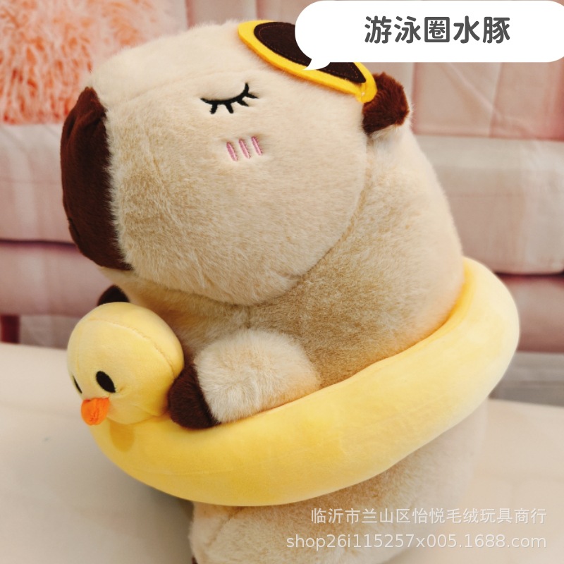 Marsopa sin aletas en círculo de natación