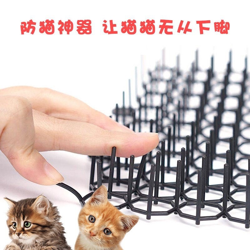微信图片_20211005141339.jpg