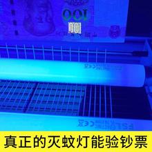 ?T5-8W灭蝇灯管T8-5/10/15瓦蓝紫光粘捕式LED诱蚊灯灭蚊灯灯