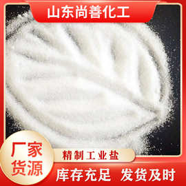 工业盐饲料盐 工业级98%含量现货厂家货源海盐精制氯化钠工业盐