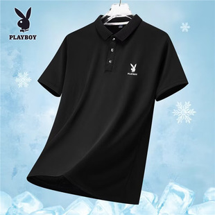 �������ӱ��z����polo����ʿ2026���ļ��¿�ƌ������e���I��ɫ