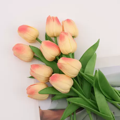 Cream peach