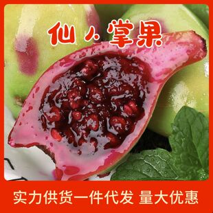 ���������ƟᎧˮ������ �����Ϸ�Ұ������������Ҋ�Ꭷˮ��ʳ��