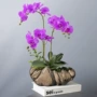 桌面陶瓷跨境盆栽花盆