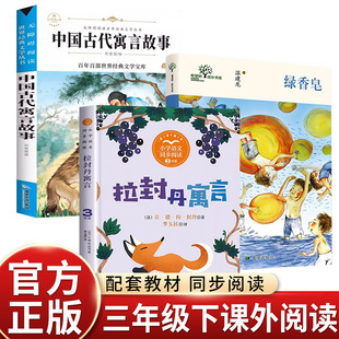 �G����ؽ������Ї��Ŵ�Ԣ�Թ������ⵤԢ�����꼉���꼉�n���