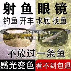 钓鱼眼镜看漂专用专业射鱼可见水下底三米偏光镜路亚开车墨镜男款